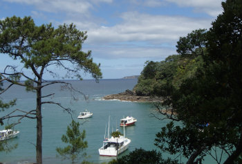 coastal views at leigh(copy)